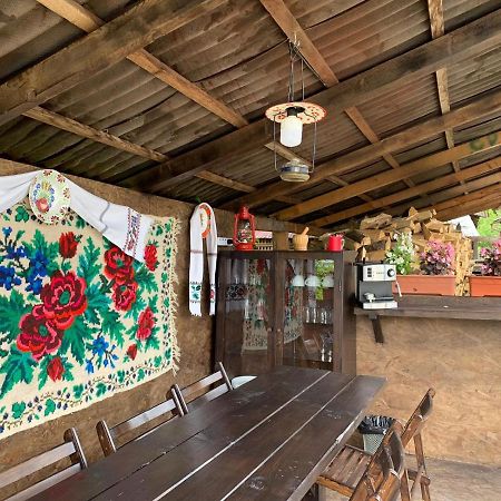 Casa Ani Villa Borşa Dış mekan fotoğraf