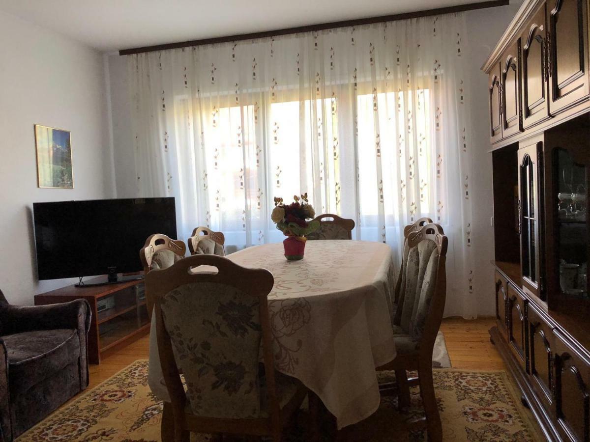 Casa Ani Villa Borşa Dış mekan fotoğraf