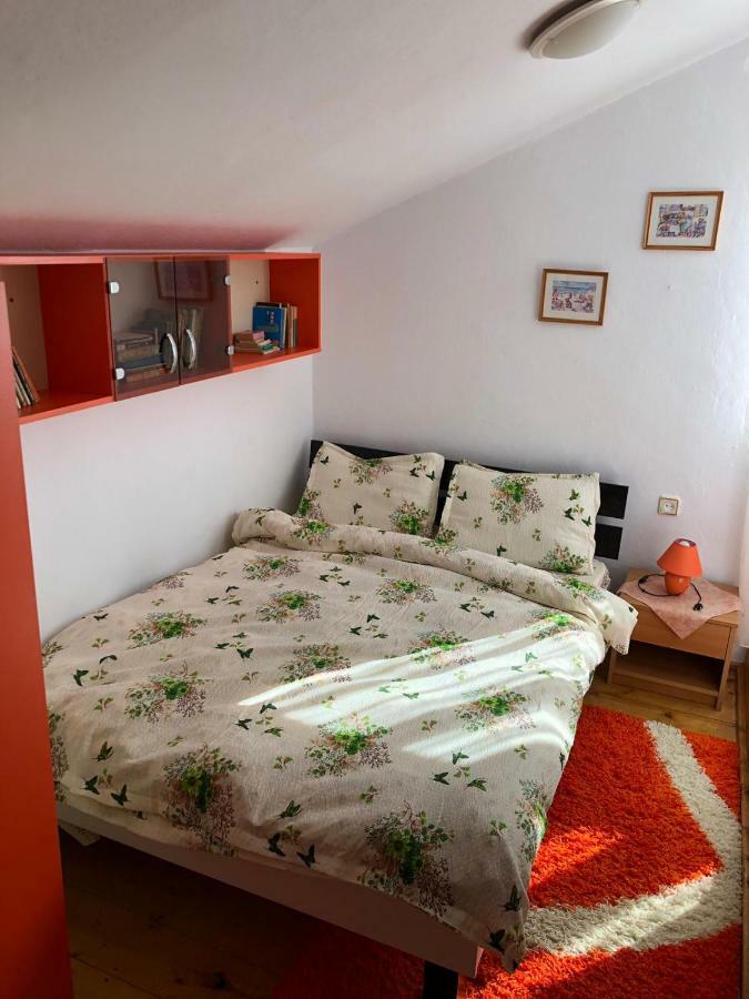 Casa Ani Villa Borşa Dış mekan fotoğraf